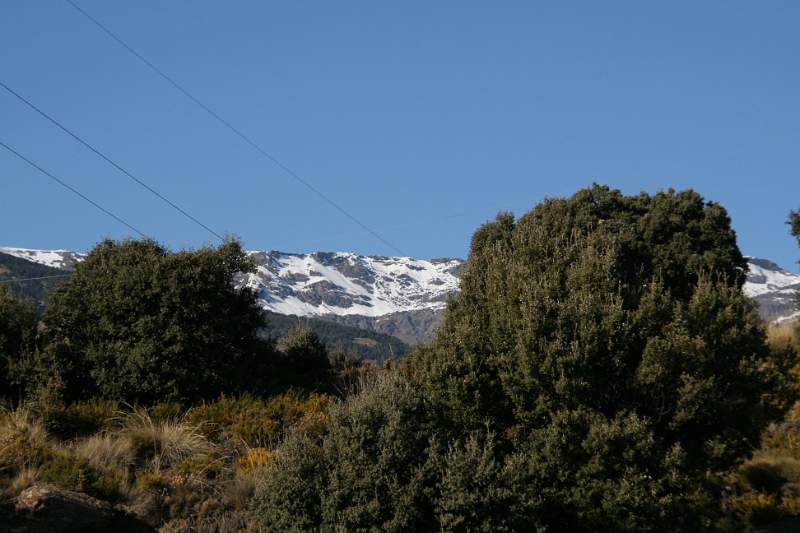 SPANJE 2011 - 427